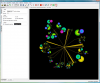 Graph visualization with Tulip (video)