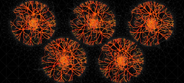 Protein network visualization