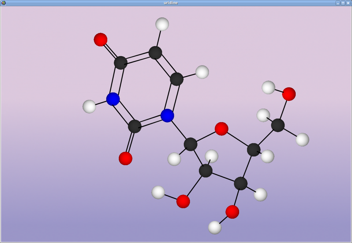 Uridine molecule